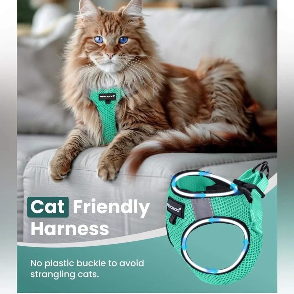 Fayogoo mint green cat harness & leash, size Medium , New In Package.